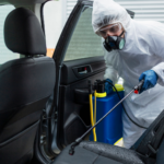 5 Best Service Providers in Australia for Long-Term Mould Prevention