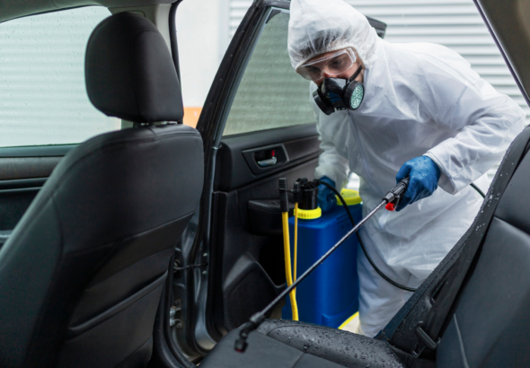 5 Best Service Providers in Australia for Long-Term Mould Prevention